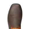 Ariat Boots: Men's 10023042 Brown Orange Intrepid VentTek 11" Composite Toe Slip Resistant Pull On Work Boots -Work Shoes Store 10023042 toe